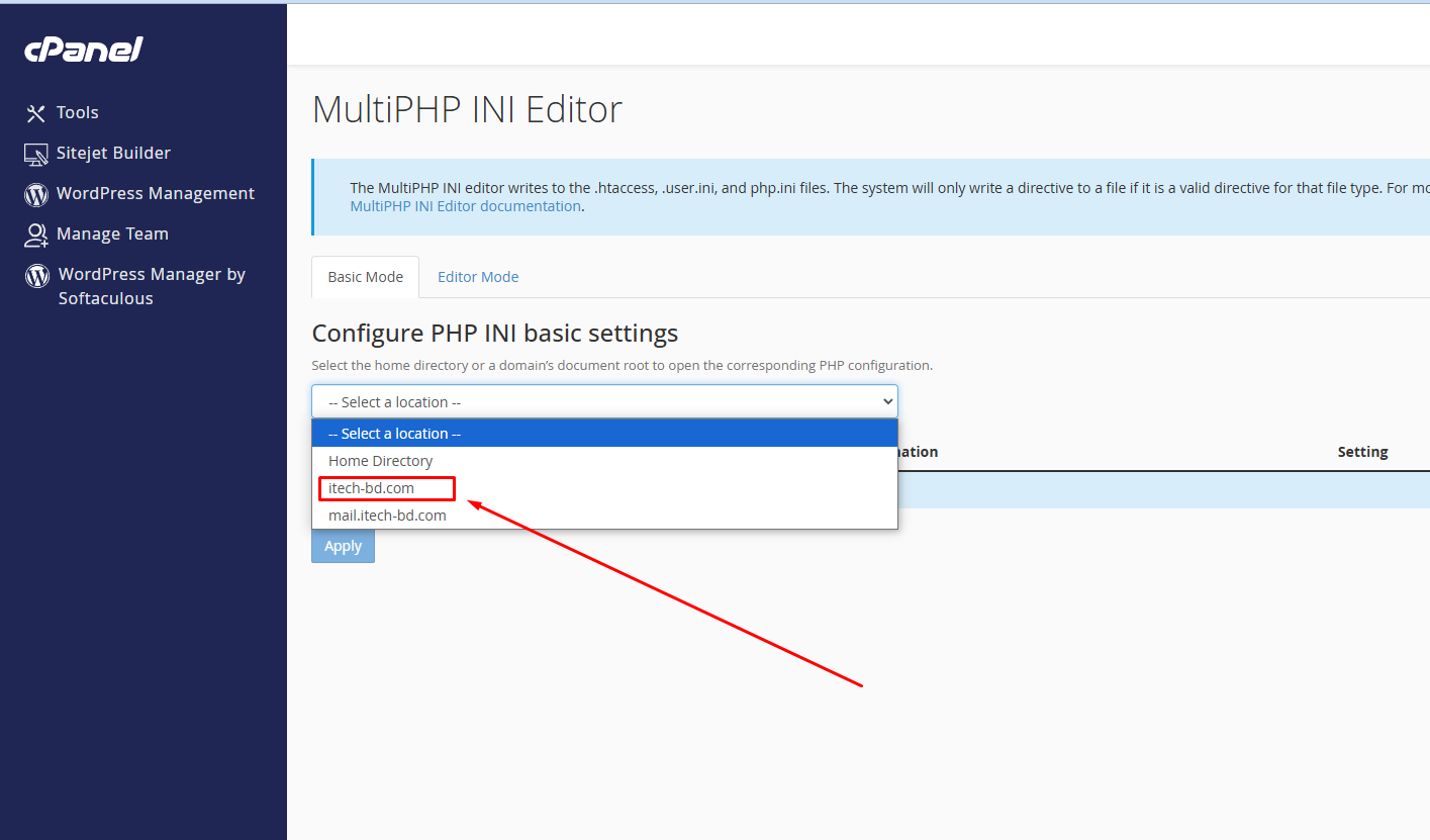 php ini editor domain select